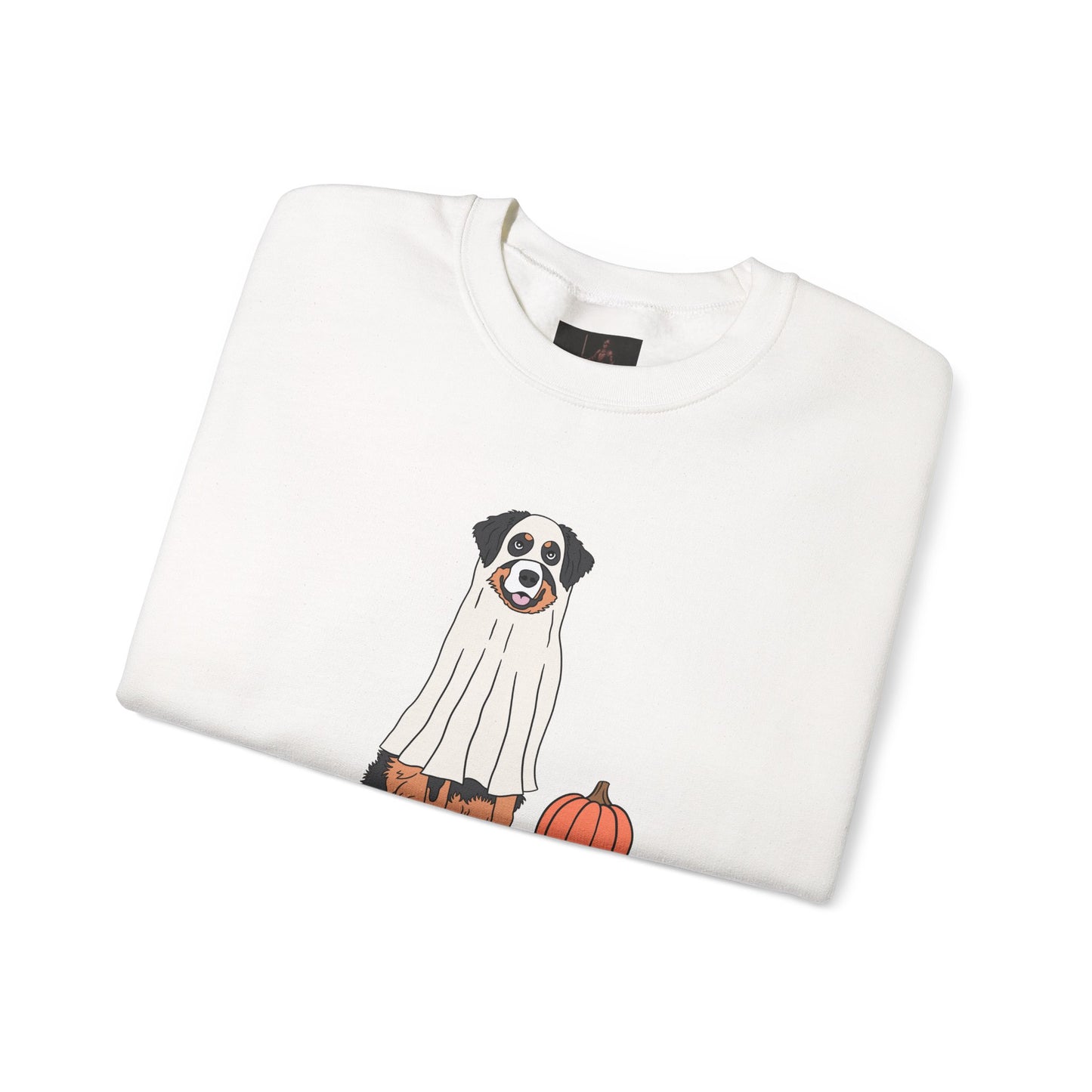 Friday Knights - Dog Pumpkin Fall Sweatshirt