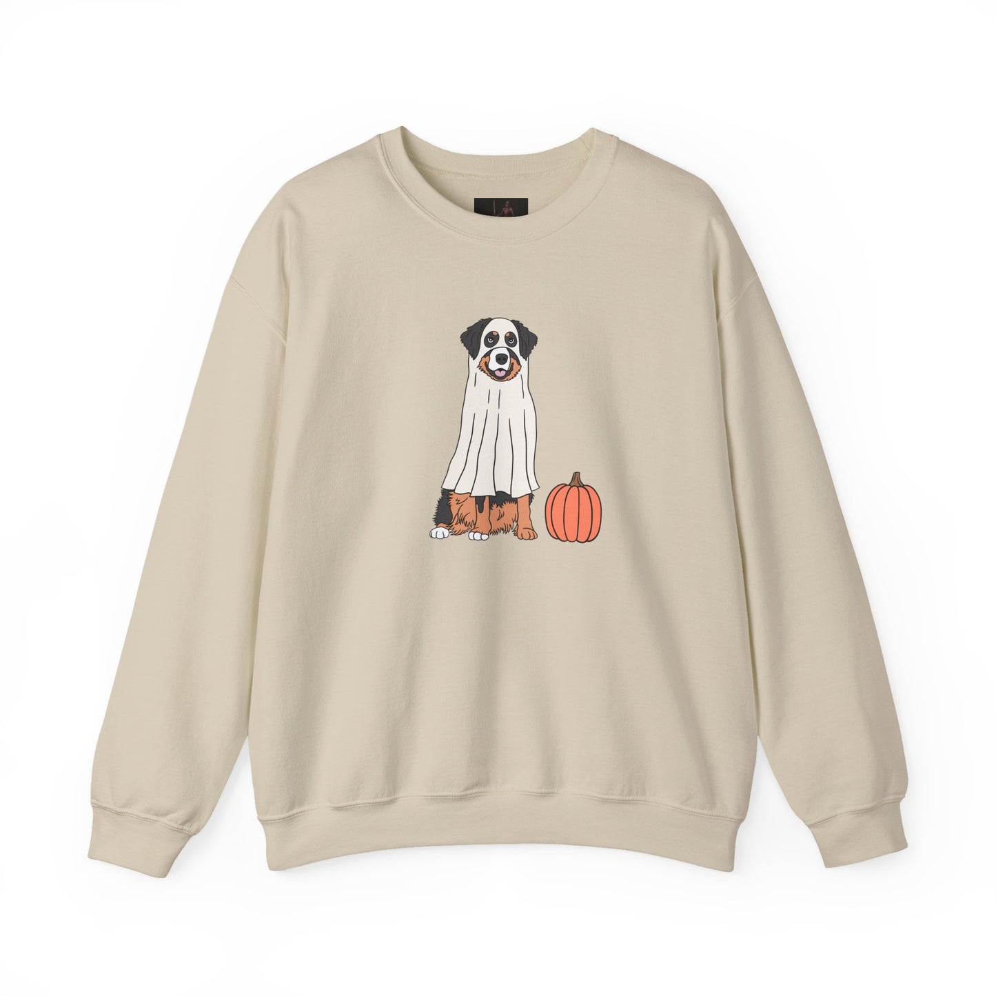 Friday Knights - Dog Pumpkin Fall Sweatshirt