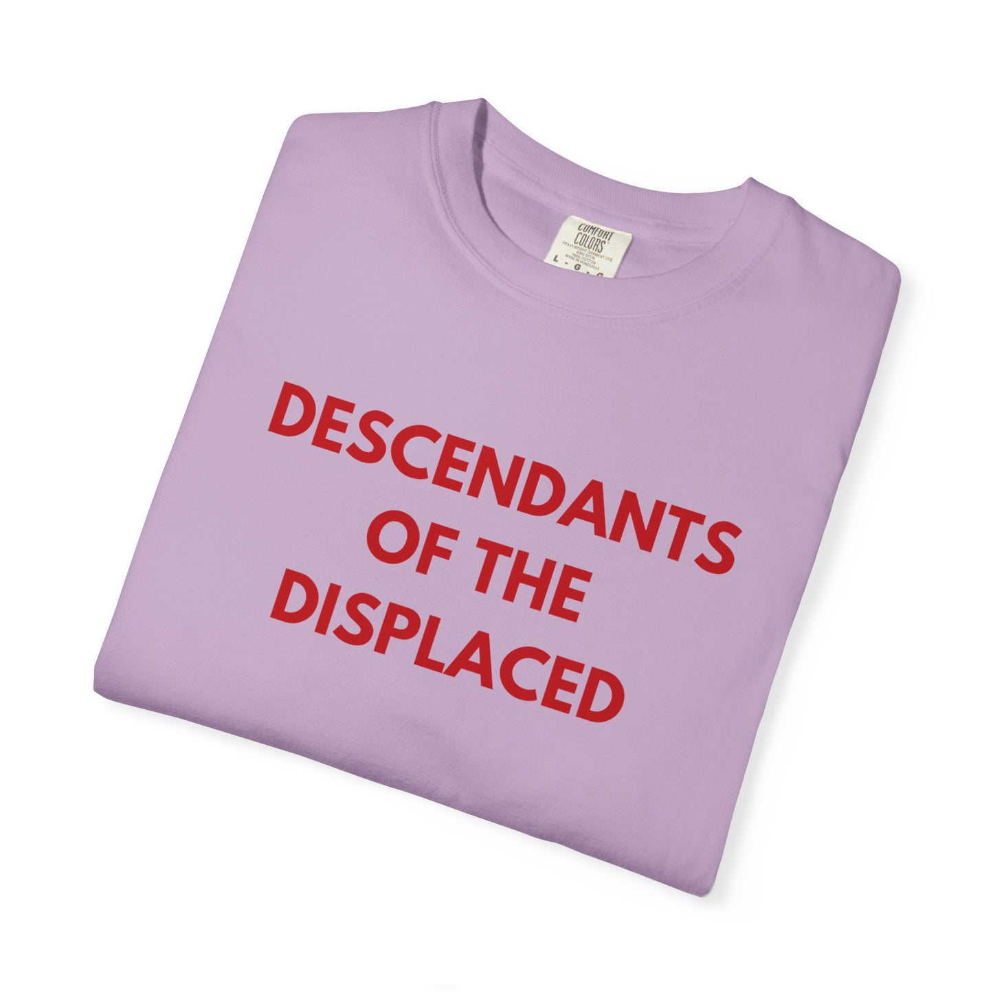 Descendants of the Displaced