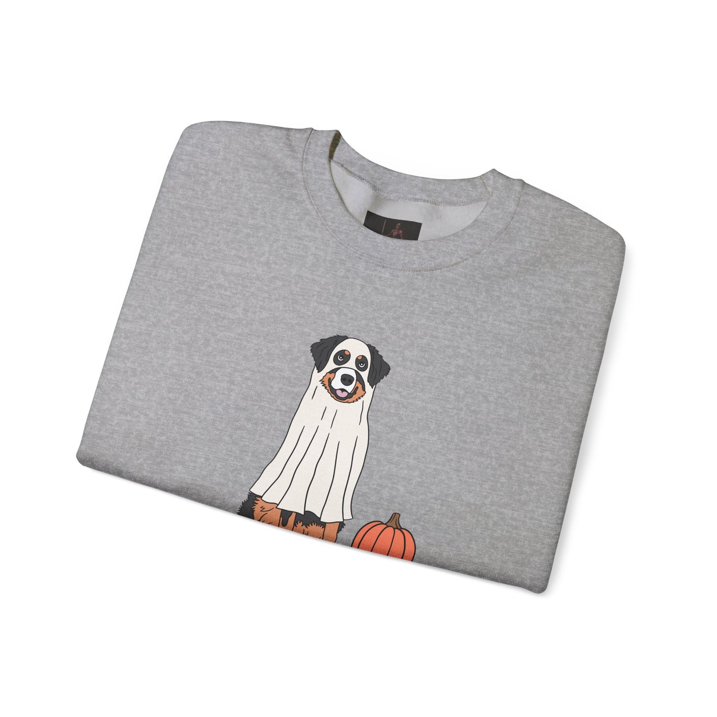 Friday Knights - Dog Pumpkin Fall Sweatshirt