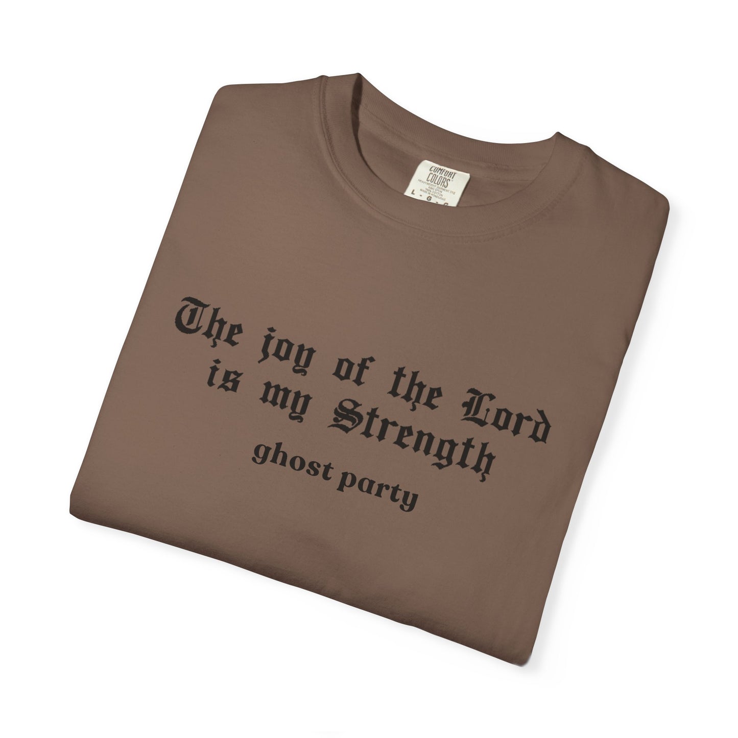 the joy is my strength