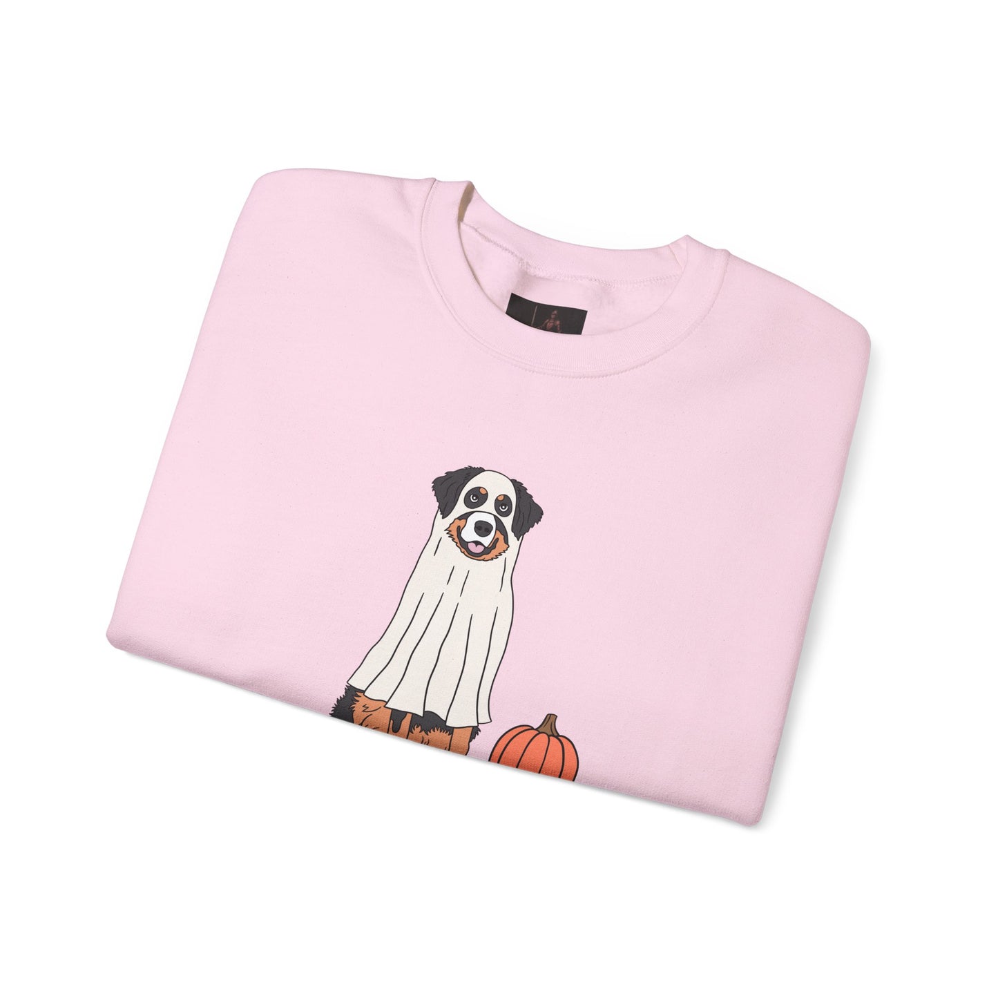 Friday Knights - Dog Pumpkin Fall Sweatshirt