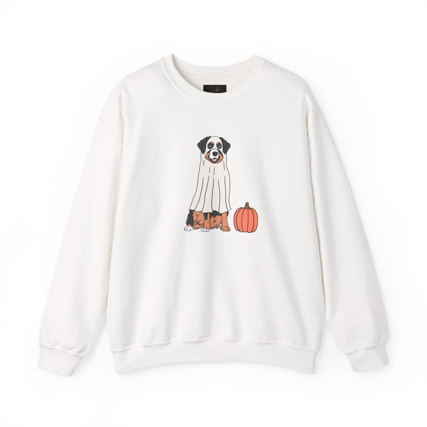Friday Knights - Dog Pumpkin Fall Sweatshirt