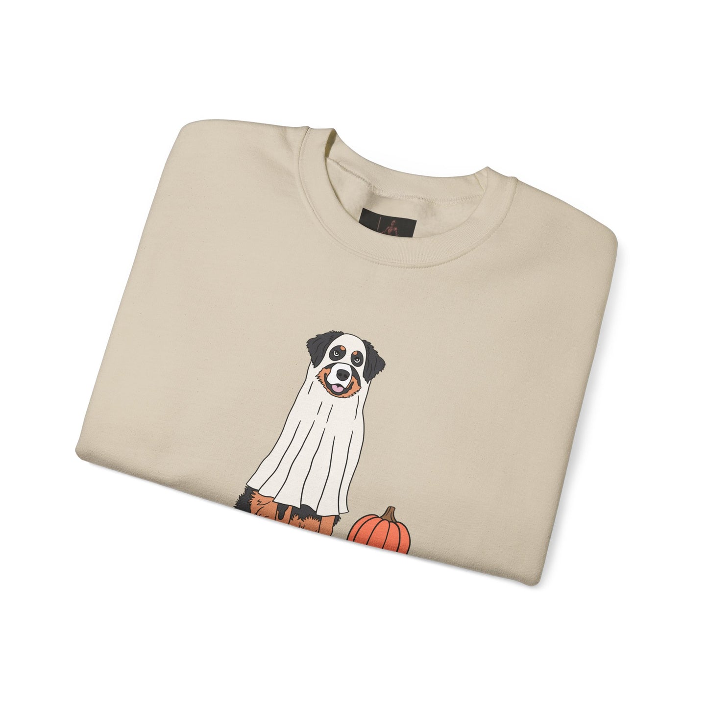 Friday Knights - Dog Pumpkin Fall Sweatshirt