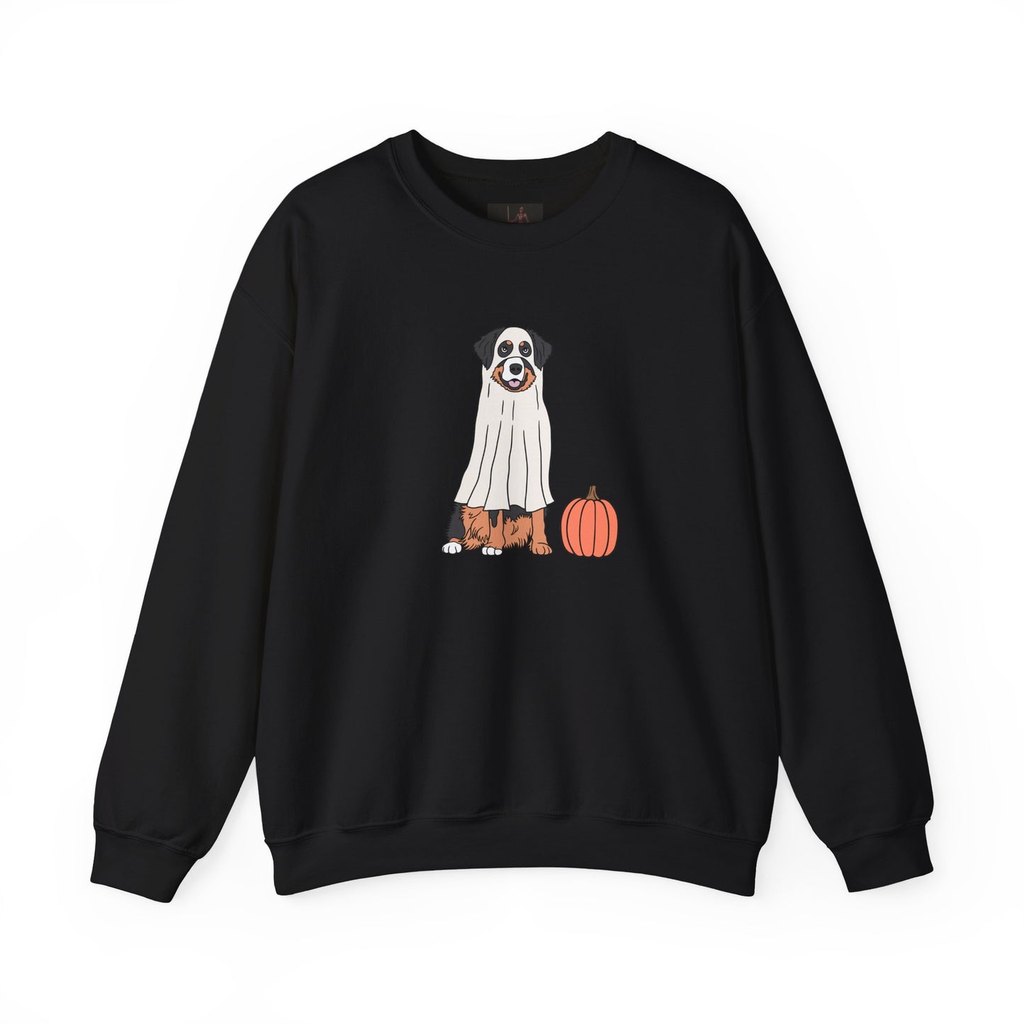 Friday Knights - Dog Pumpkin Fall Sweatshirt