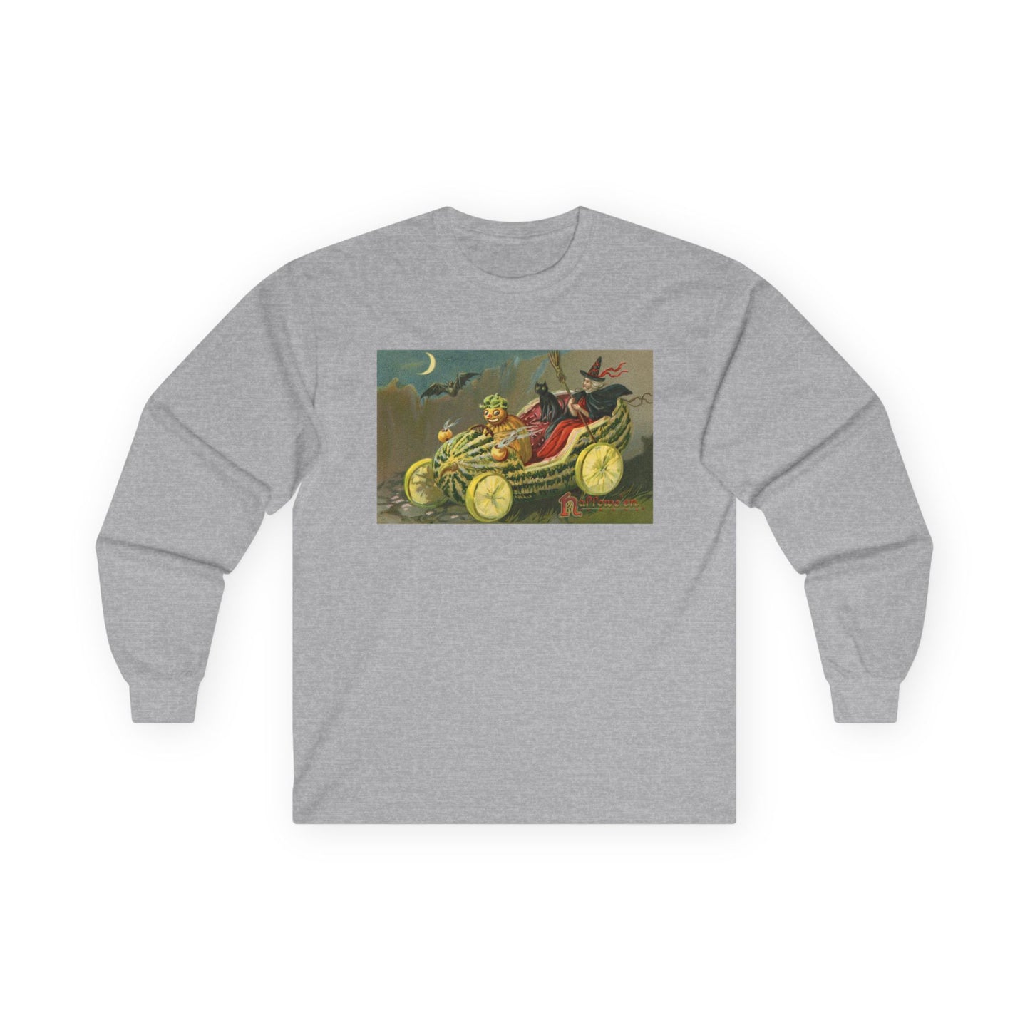 Unisex Ultra Cotton Long Sleeve Tee
