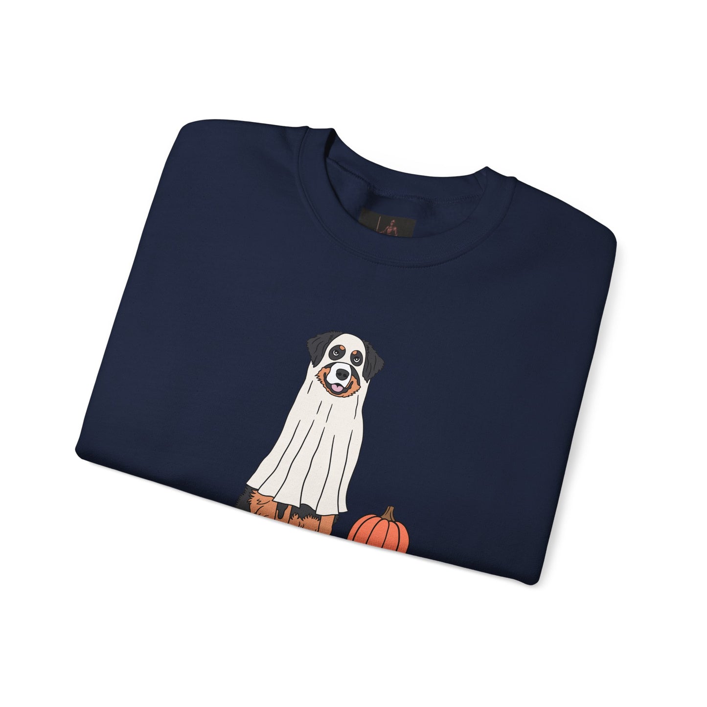 Friday Knights - Dog Pumpkin Fall Sweatshirt