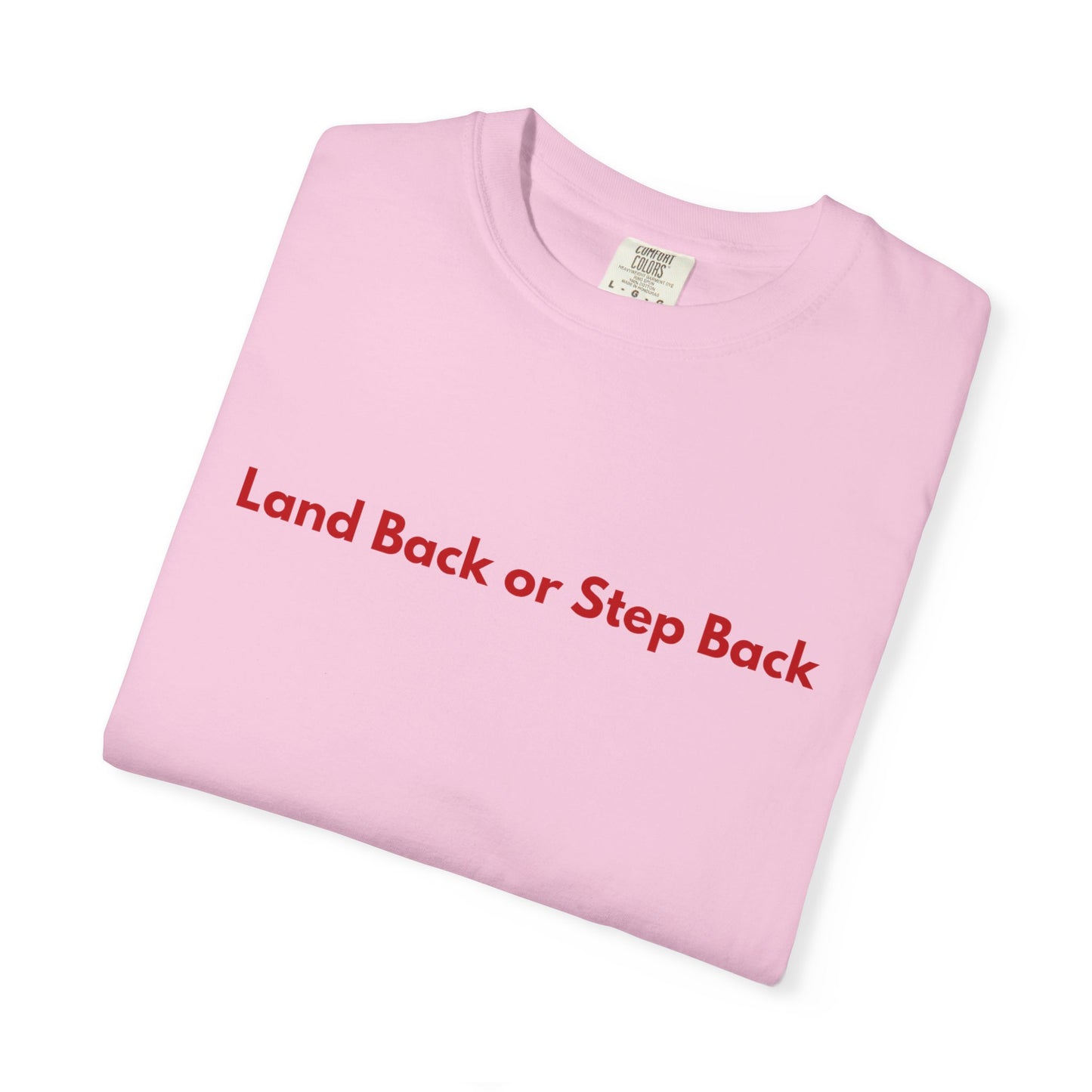 Land Back or Step Back Tee