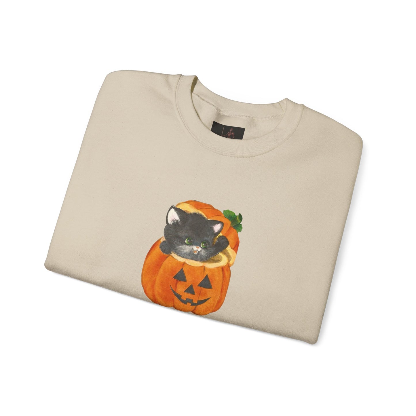 Friday Knights-  Black Cat in Jack-O'-Lantern Crewneck Sweatshirt