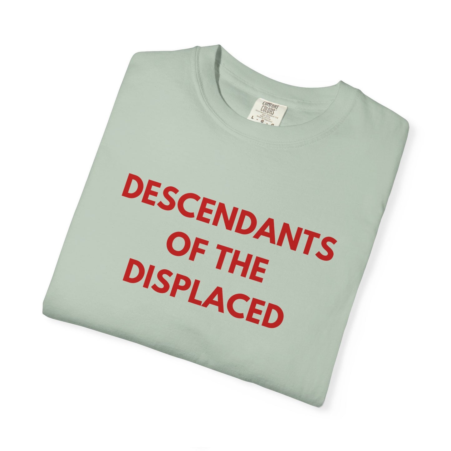 Descendants of the Displaced