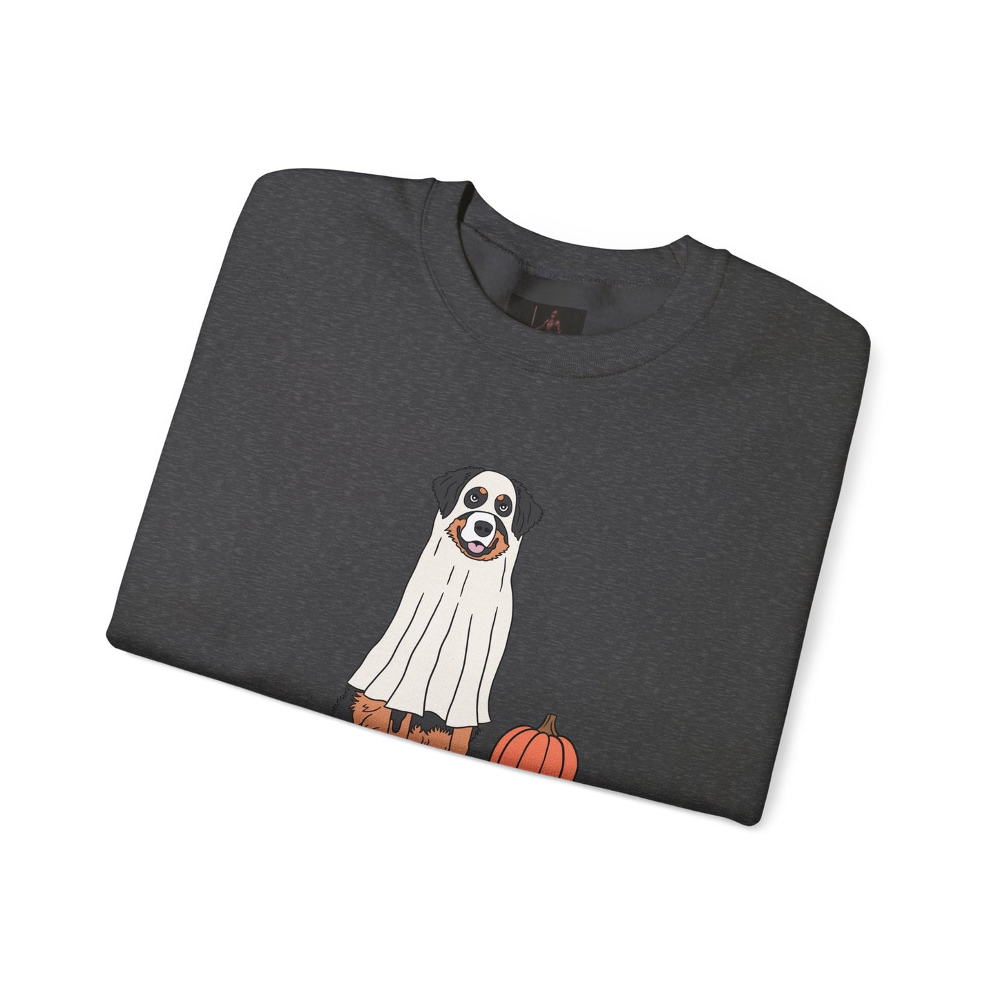 Friday Knights - Dog Pumpkin Fall Sweatshirt