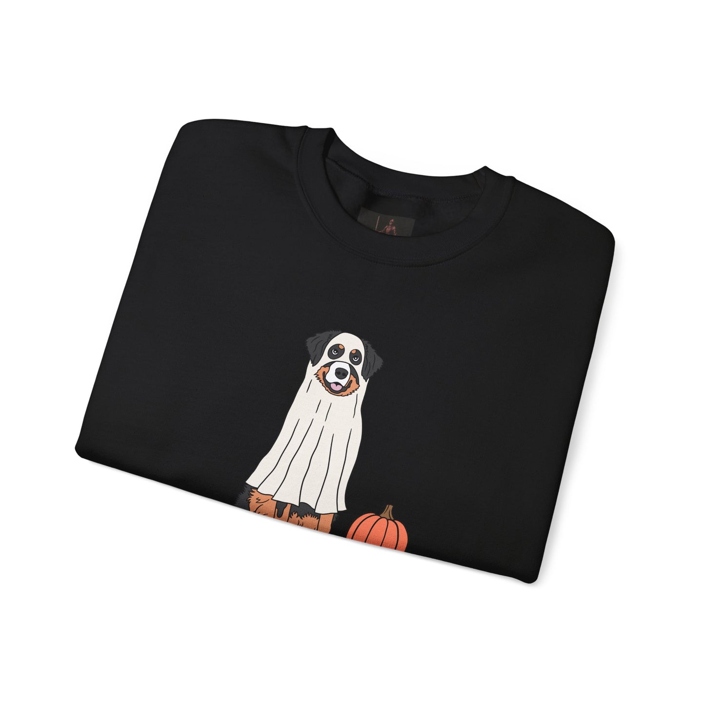 Friday Knights - Dog Pumpkin Fall Sweatshirt